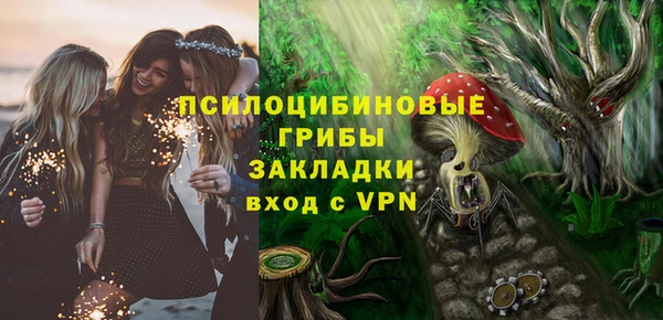 PSILOCYBIN Бородино